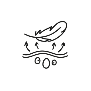 SS - Feature #54 IA Custom icon 1